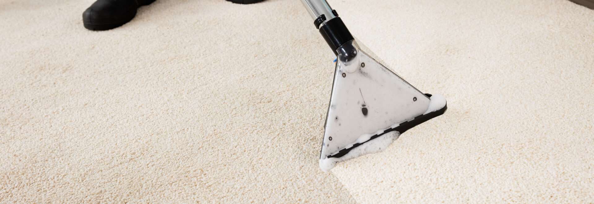 carpet and floor cleaning