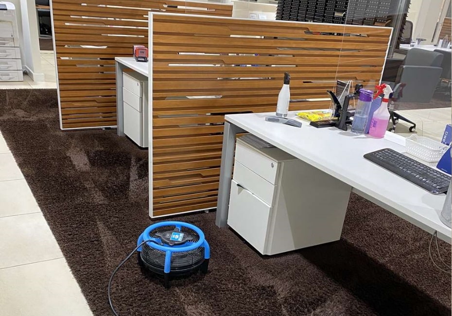 Carpet cleaning device used nearby office cubicles