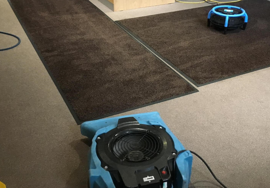 two blue carpet cleaning machines being used on a grey carpet in an office