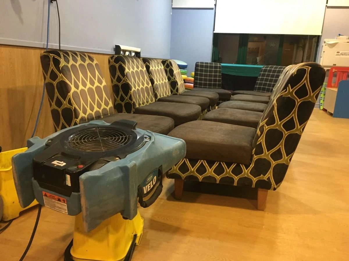 A collection of patterned chairs is left out to dry after being cleaned. 