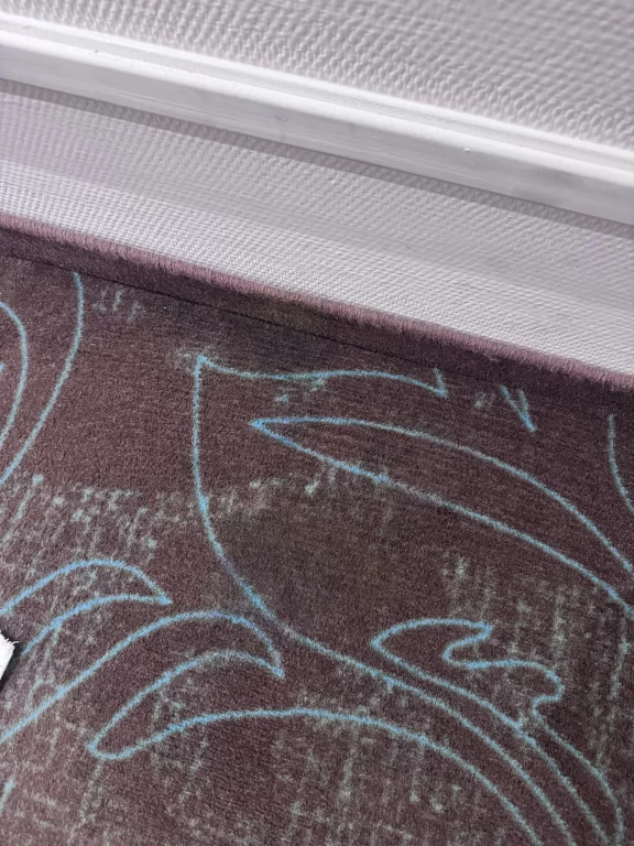 After image of a stain removed from hotel carpet.