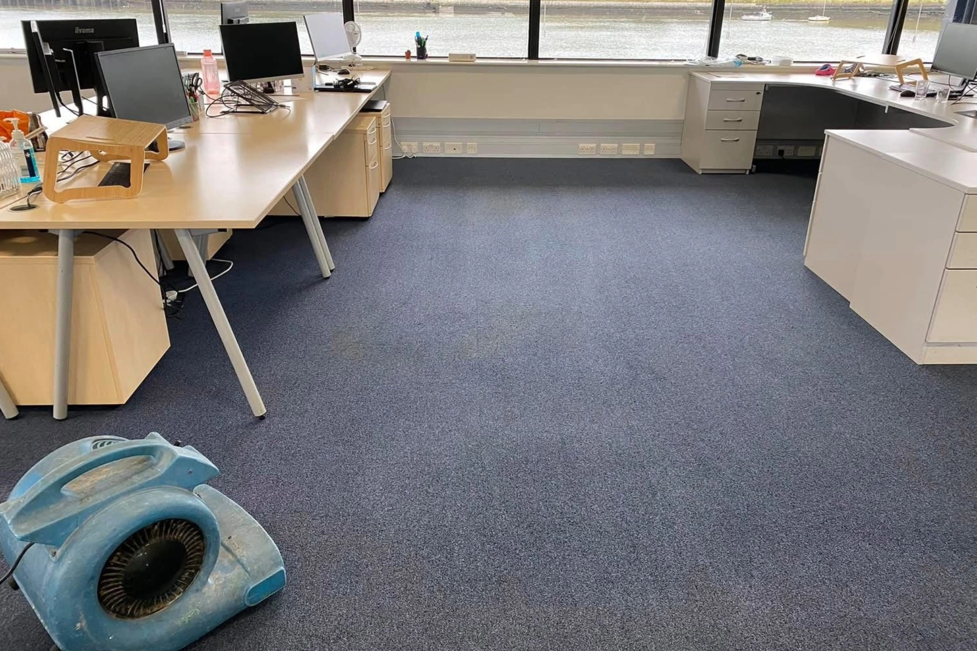 A blue air mover fan dries a clean, blue, freshly cleaned office carpet. 