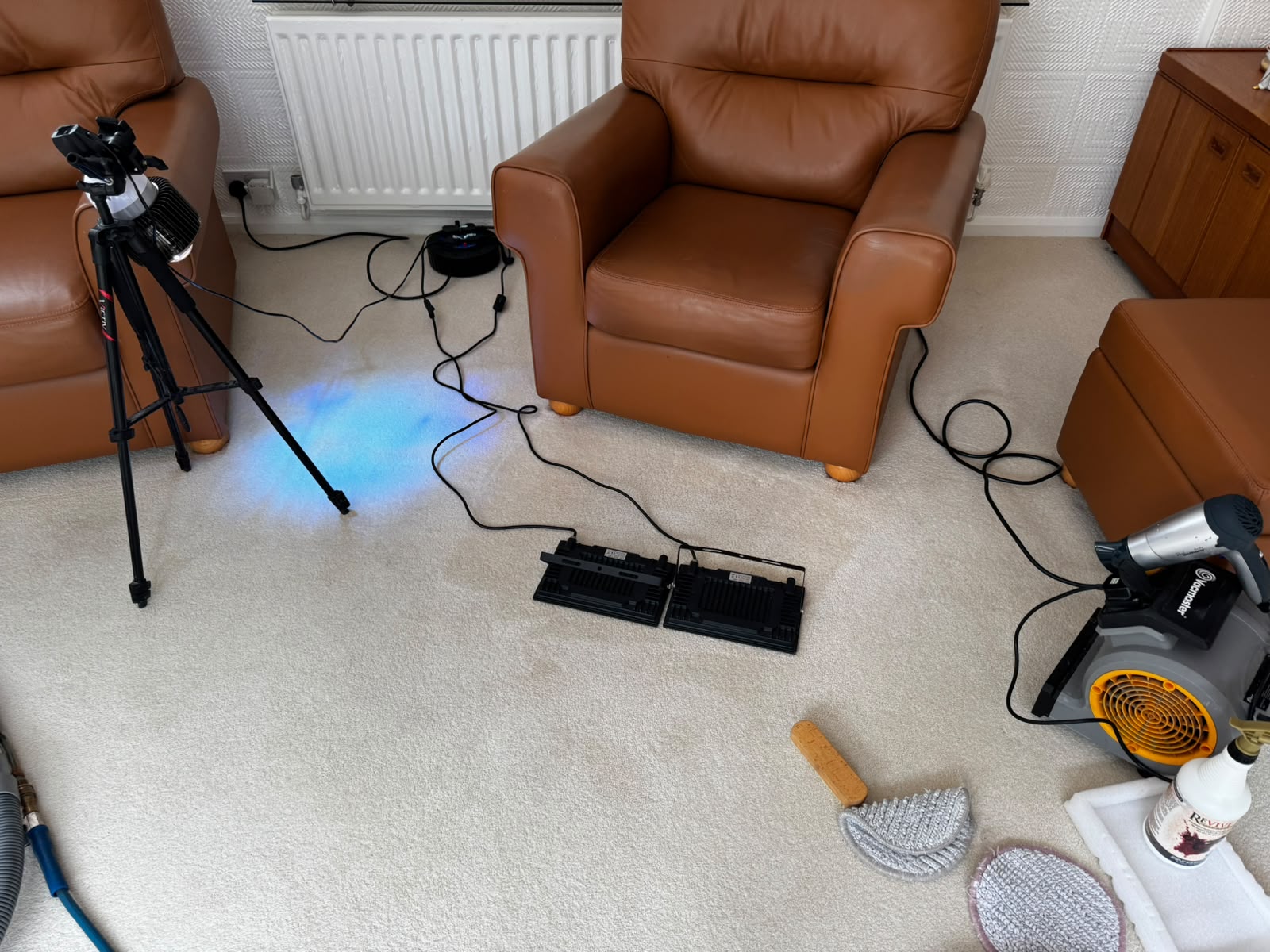 Lights and antibacterial features drying and curing a freshly cleaned carpet. 